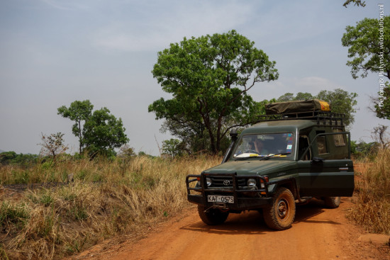 We stop to scan for birds and primates south of Adjumani, north Uganda. (Photograph by Yvonne de Jong and Tom Butynski)